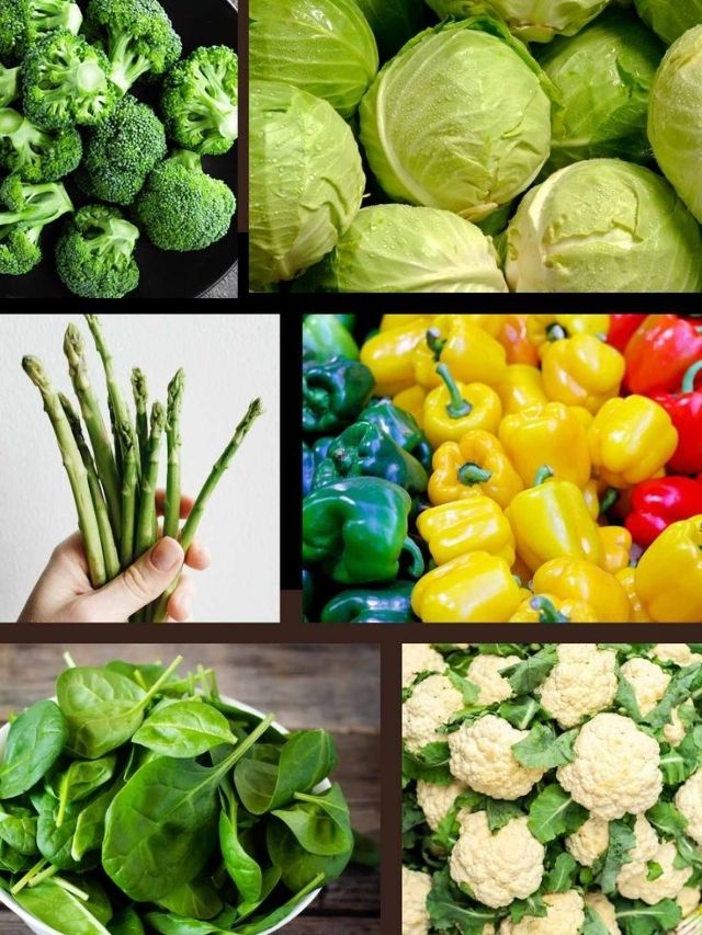 vegetable protein sources