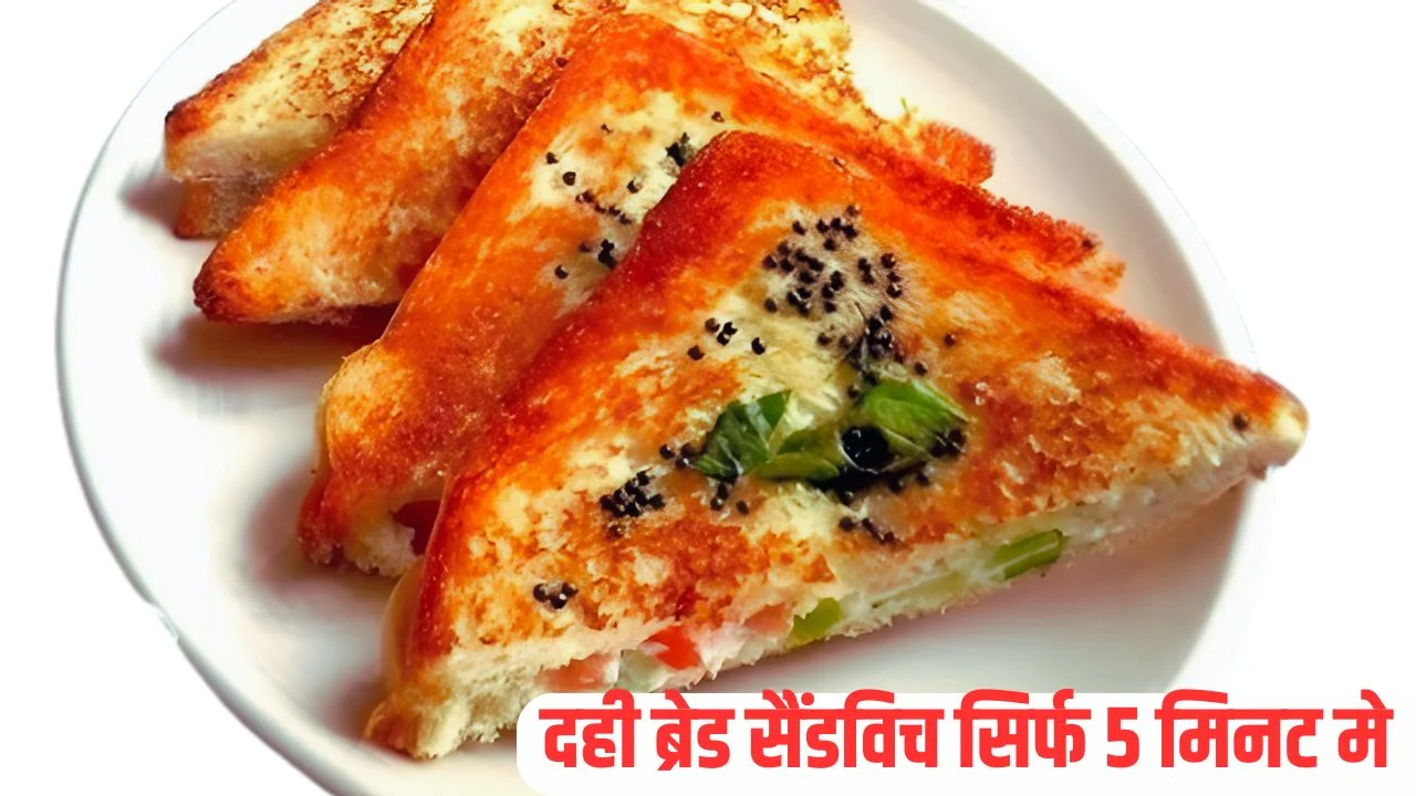 Dahi Sandwich