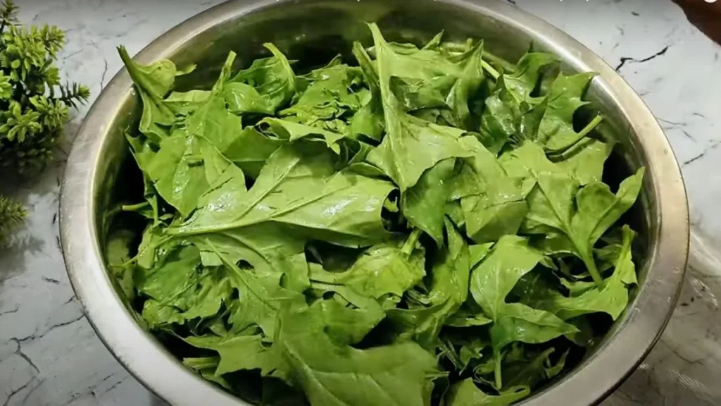 Palak Lachha Paratha 