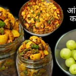 Amla Hari mirch Ka Achar
